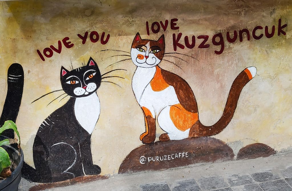 Street art in Kuzguncuk on the Asian side of Istanbul.