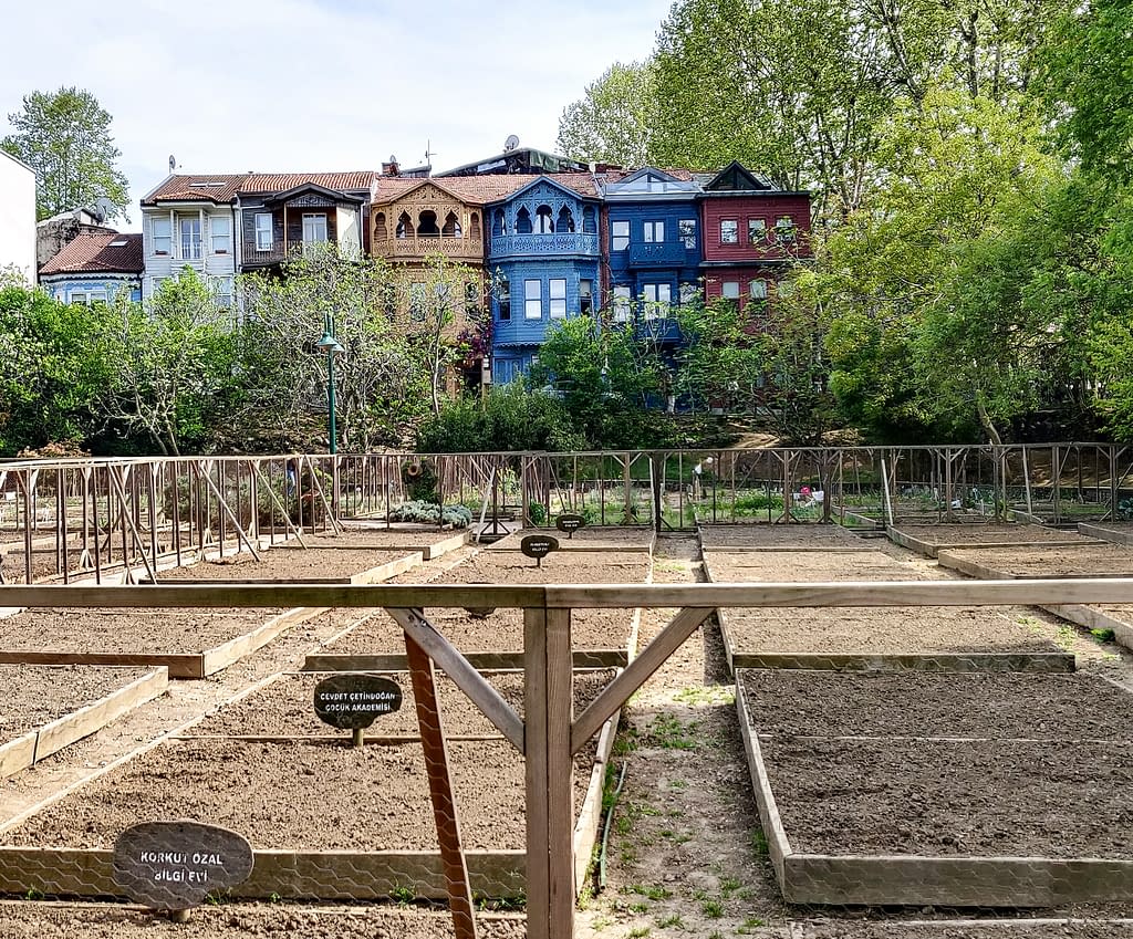 Yhteisöllinen kasvimaa Kuzguncukissa Istanbulissa, Aasian puolella.