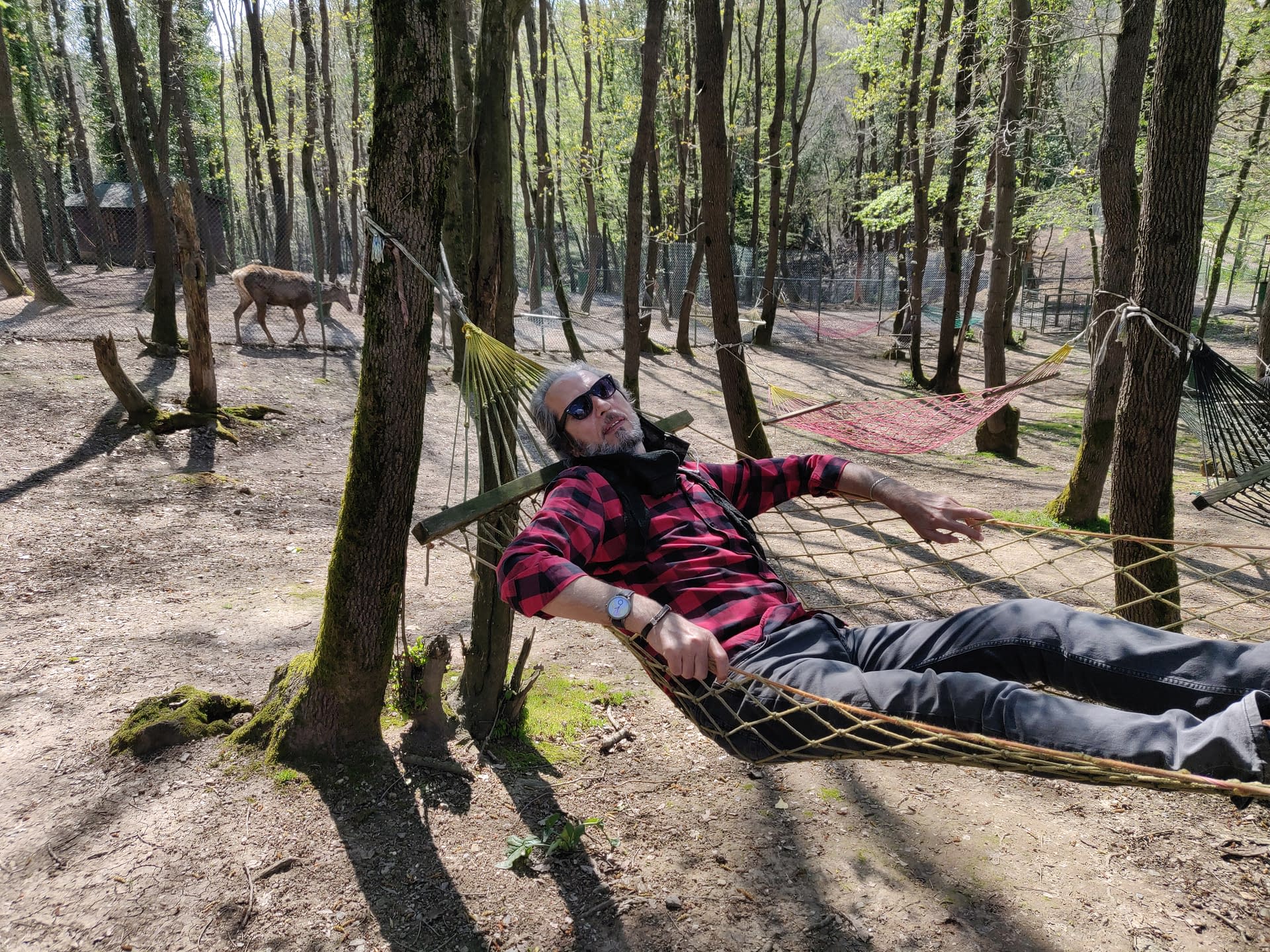 A relaxing and meditative moment of rest in the forest path in Polonezköy.