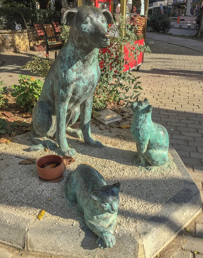 A small series of statues about stray animals of Istanbul