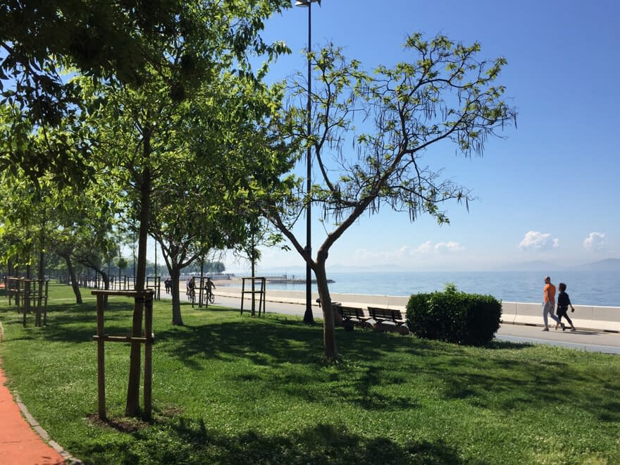 Vihreää puistoaluetta Istanbulin Fenerbahcen rannikolla taustallaan Marmaranmeri