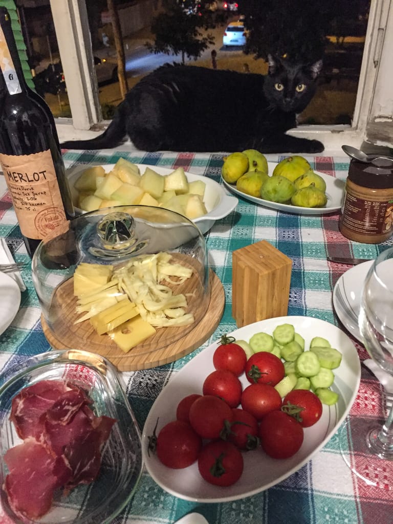 Musta kissa pöydällä vieressään paljon ruokia