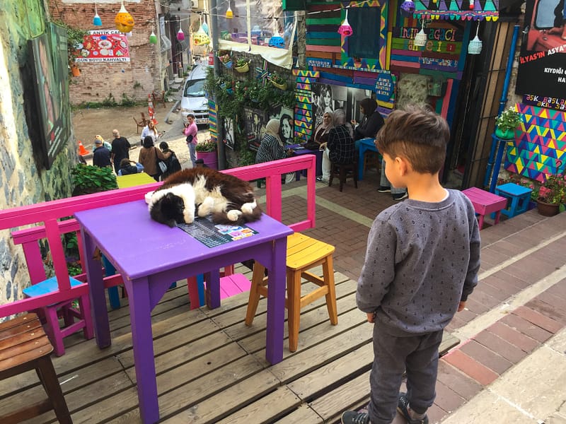 Poika katselee nukkuvaa kissaa värikkäällä kadulla Istanbulissa