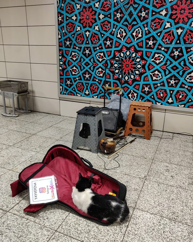 A street cat in Sirkeci Marmaray Station in Istanbul.